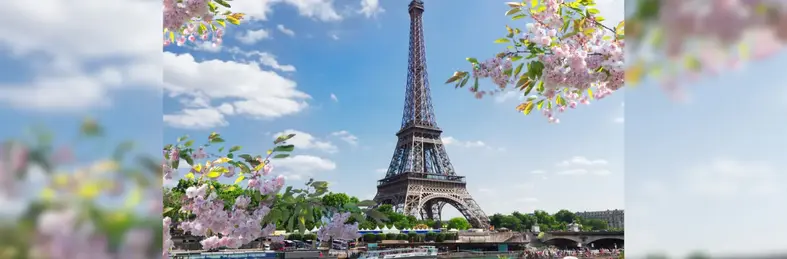 The Eiffel Tower with pink roses in the foreground