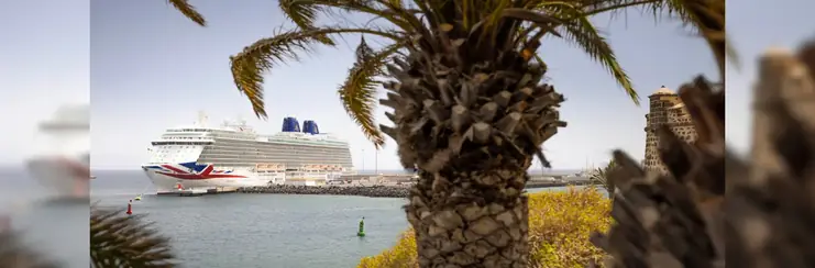 Britannia in port with a palm tree in the foreground 