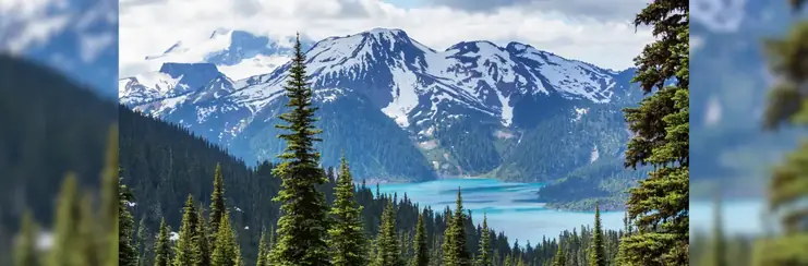 Snow-capped mountains with a lake and forest