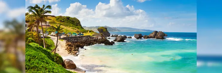 The coast of Bathsheba, Barbados.