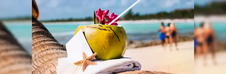 A coconut with a straw resting on a palm tree with people on the beach in the background