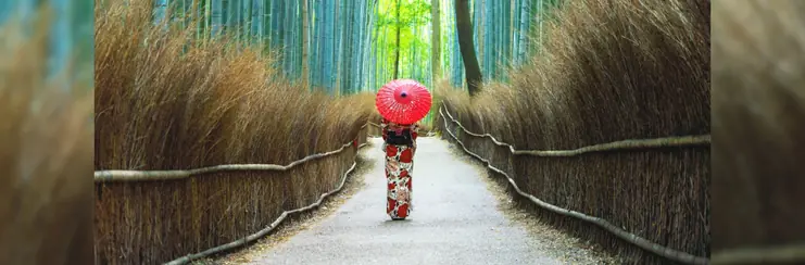 A lady walking through a bamboo forest