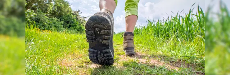 Walking in a very green field