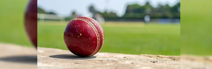 Cricket ball on green