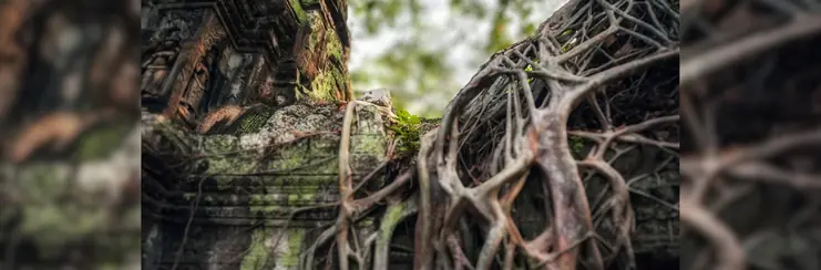 The ruins of Ta Prohm