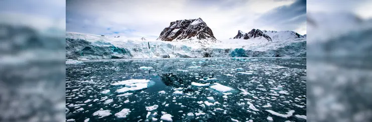 Iceberg