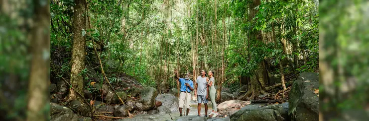 A trio is a forest in St Kitts