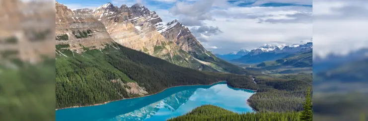 The rockies