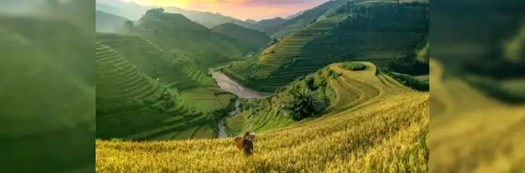 Image-of-hapao-rice-terraces