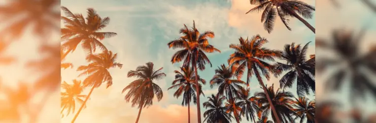 Image-of-california