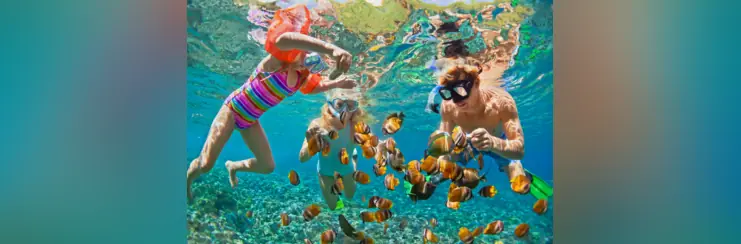 Family Holidays Marketplace