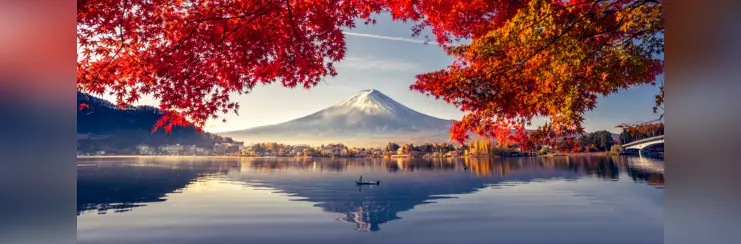 Japan Showcase